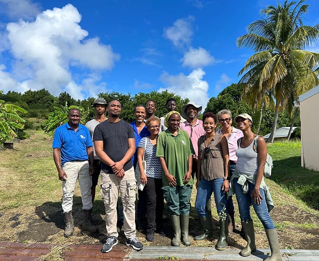 Équipe en observation dans une parcelle tropicale, avec végétation et palmier