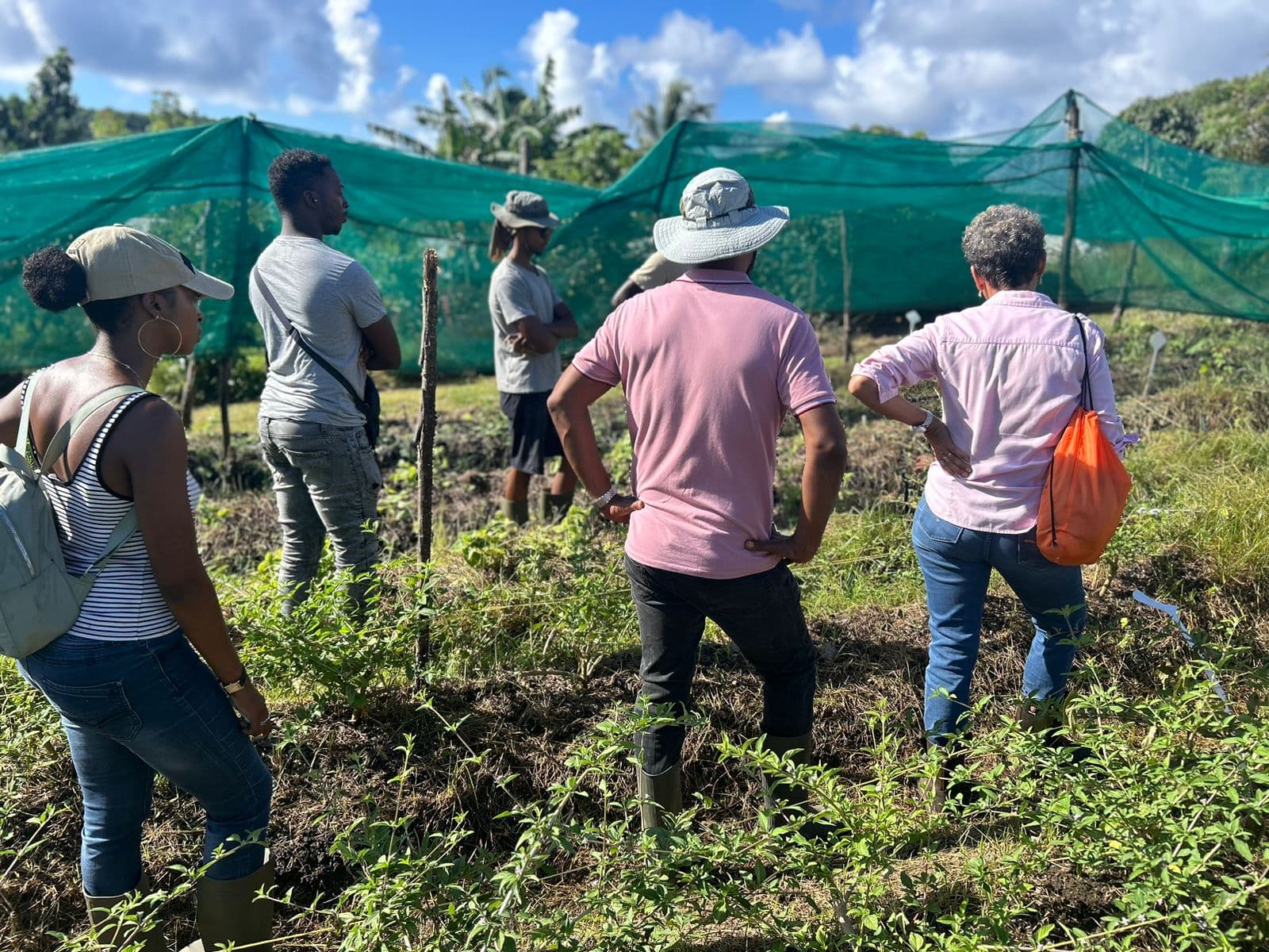 Équipe en observation dans une parcelle tropicale, avec filets d’ombrage et végétation