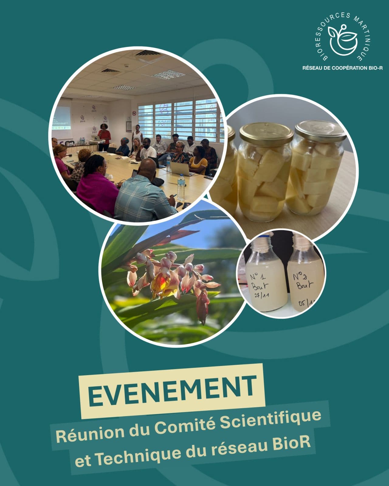 Réunion du Comité Scientifique et Technique du réseau BioR