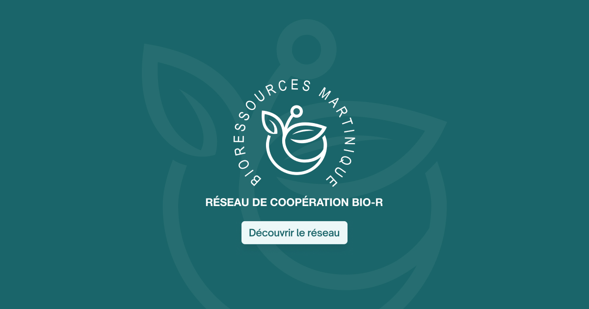 Bio-R Martinique | Réseau agricole, bioéconomie & filières agroalimentaires